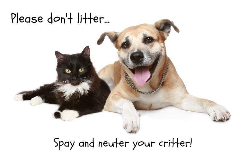 Medicine Lodge City of Medicine Lodge